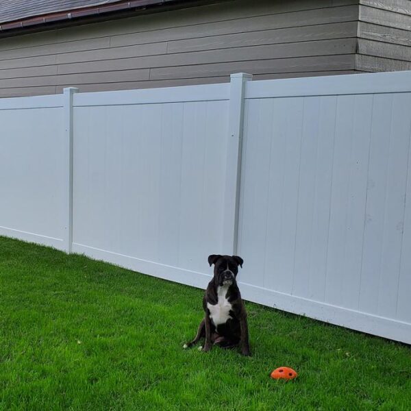 Wendell white vinyl privacy fence with a dog and his toy