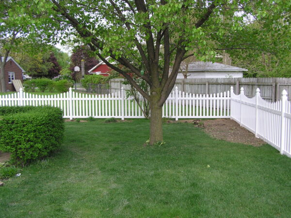 Darlington White vinyl picket fence in a yard 3rd view
