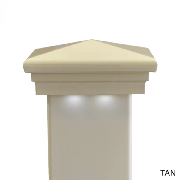 neptunelvdownwardtan